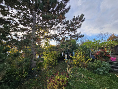 Schöne 5 Zimmer Maisonette ETW (EG/UG) mit 310 m² eigenem Garten, Bestlage Wiesloch; Südausrichtung