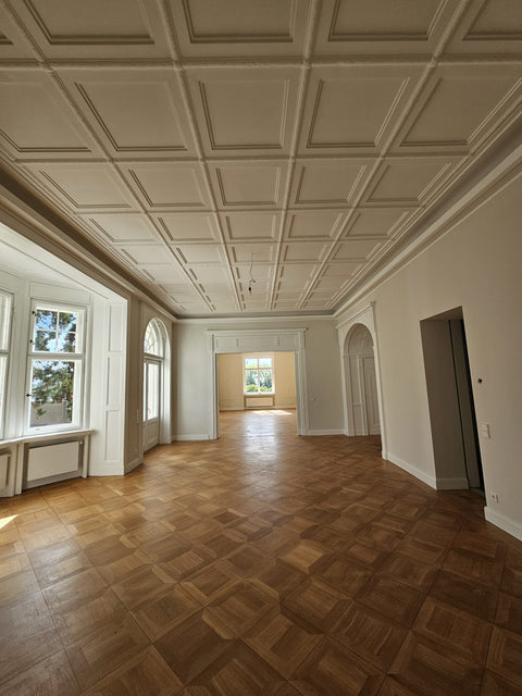 Wohn-/Büroträume in der Dyckerhoff Villa direkt am Rhein in Wiesbaden