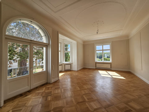 Wohn-/Büroträume in der Dyckerhoff Villa direkt am Rhein in Wiesbaden