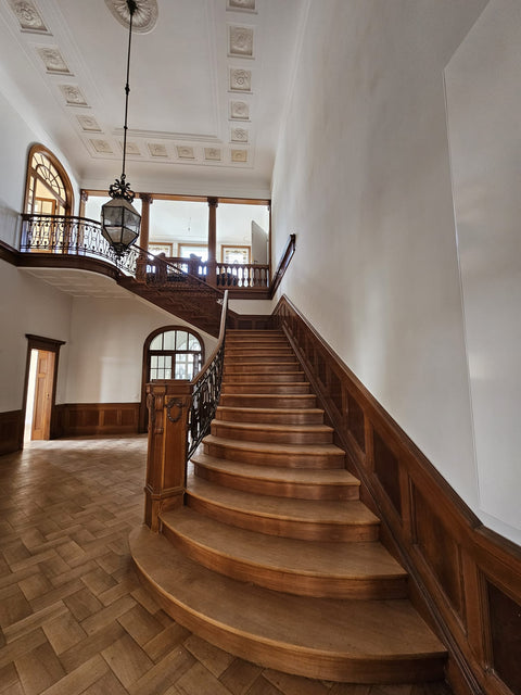 Wohn-/Büroträume in der Dyckerhoff Villa direkt am Rhein in Wiesbaden