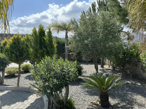 Villa "Extravaganza" in Alagadi – exklusive Villa in erster Meereslinie auf Nordzypern